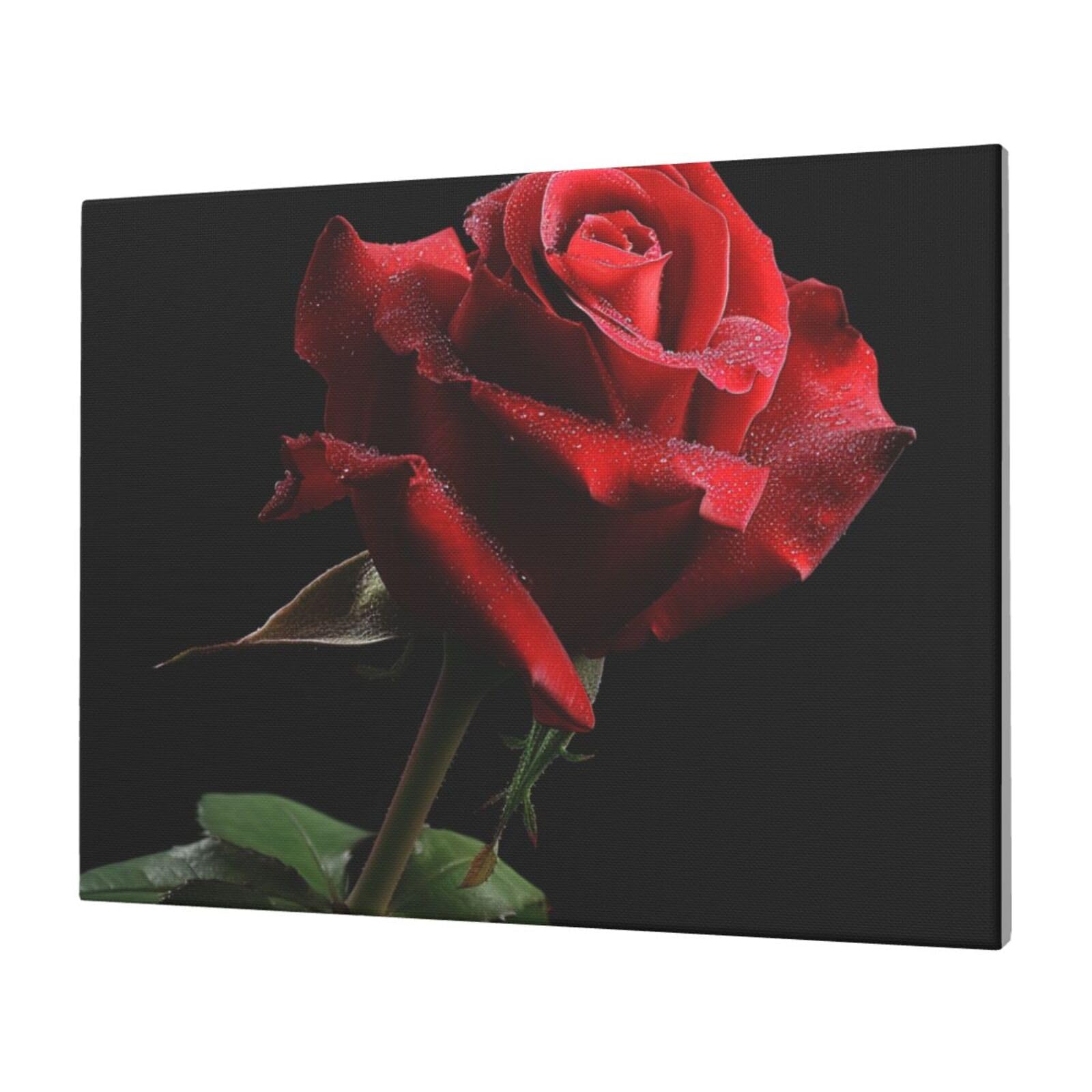 YKLJG Red Rose Black Background Printed Canvas Wall Art 40x30 CM Decorative Artworks Pictures Print Painting Framed Artwork for Bedroom, Living Room & Office
