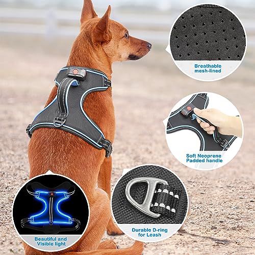 Image of LED Light Dog Harness, X-Large, Black-Blue, No-Pull, Rechargeable, for Large Dogs