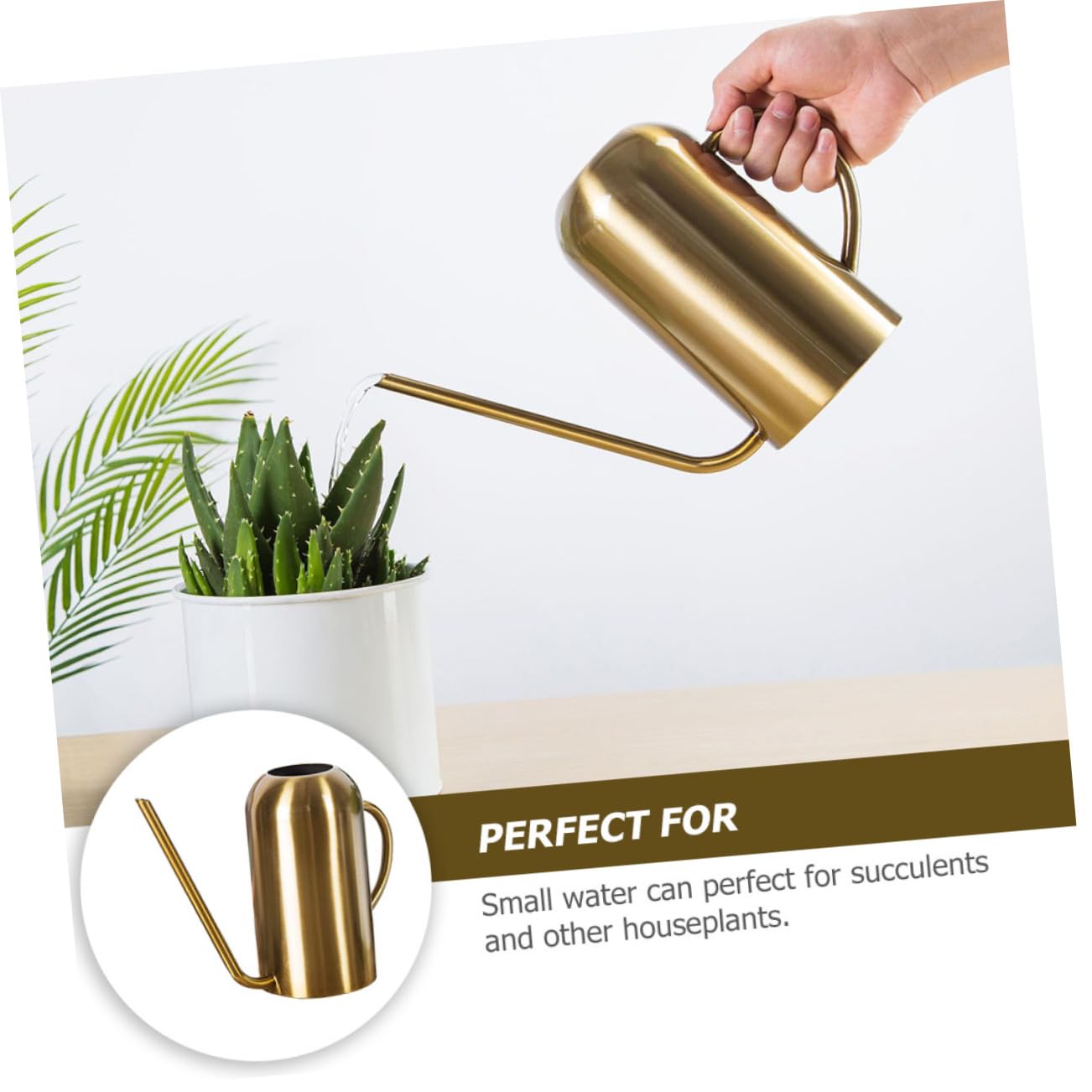 HANABASS 1 Pieza Regadera Inoxidable para Riego de Plantas y Suculentas Diseño Ergonómico y Duradero para y