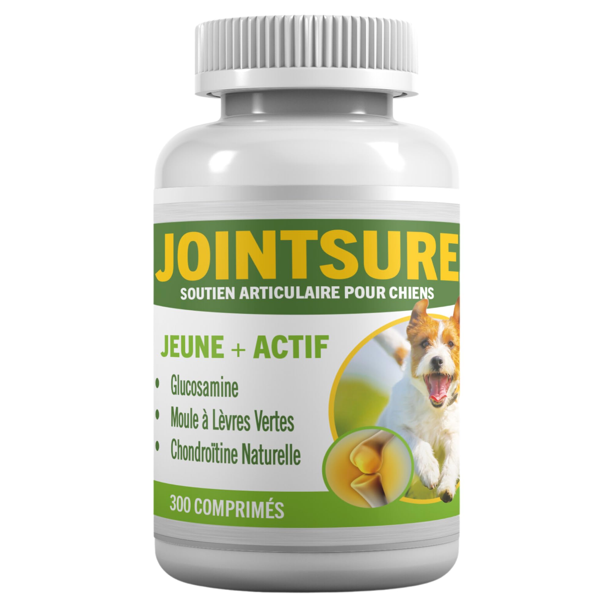 JOINTSURE Jeune & Actif Suppléments pour Les Articulations des Chiens et Chiots Aide à la Rigidité des Articulations 300 Comprimés - Hautes Teneurs en Glucosamine & Moule à Lèvres Vertes