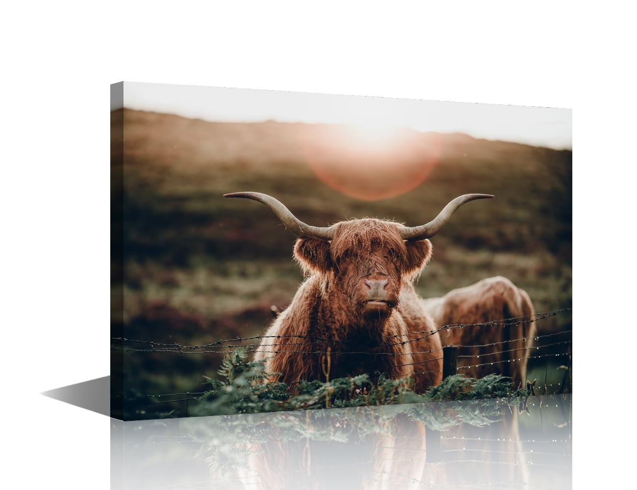 Canvas Wall Art Funny Highland Cow Canvas Prints Vintage Artwork for Walls Home Decoration Gift 1 Pieces Canvas Wall Art Modern Artwork Wall Hanging Home Farm Rustic Decor Ready to Hang 24x16 in — image 1