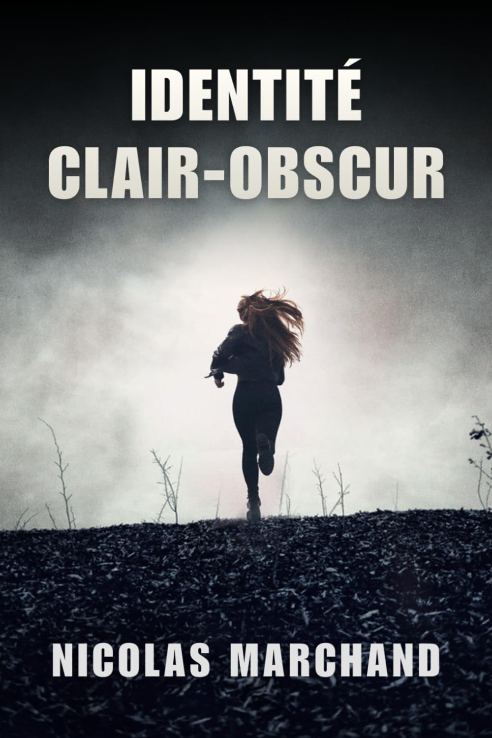 Identité Clair-Obscur: Une épouse volatilisée. Un cadavre méconnaissable. Un secret d’État.