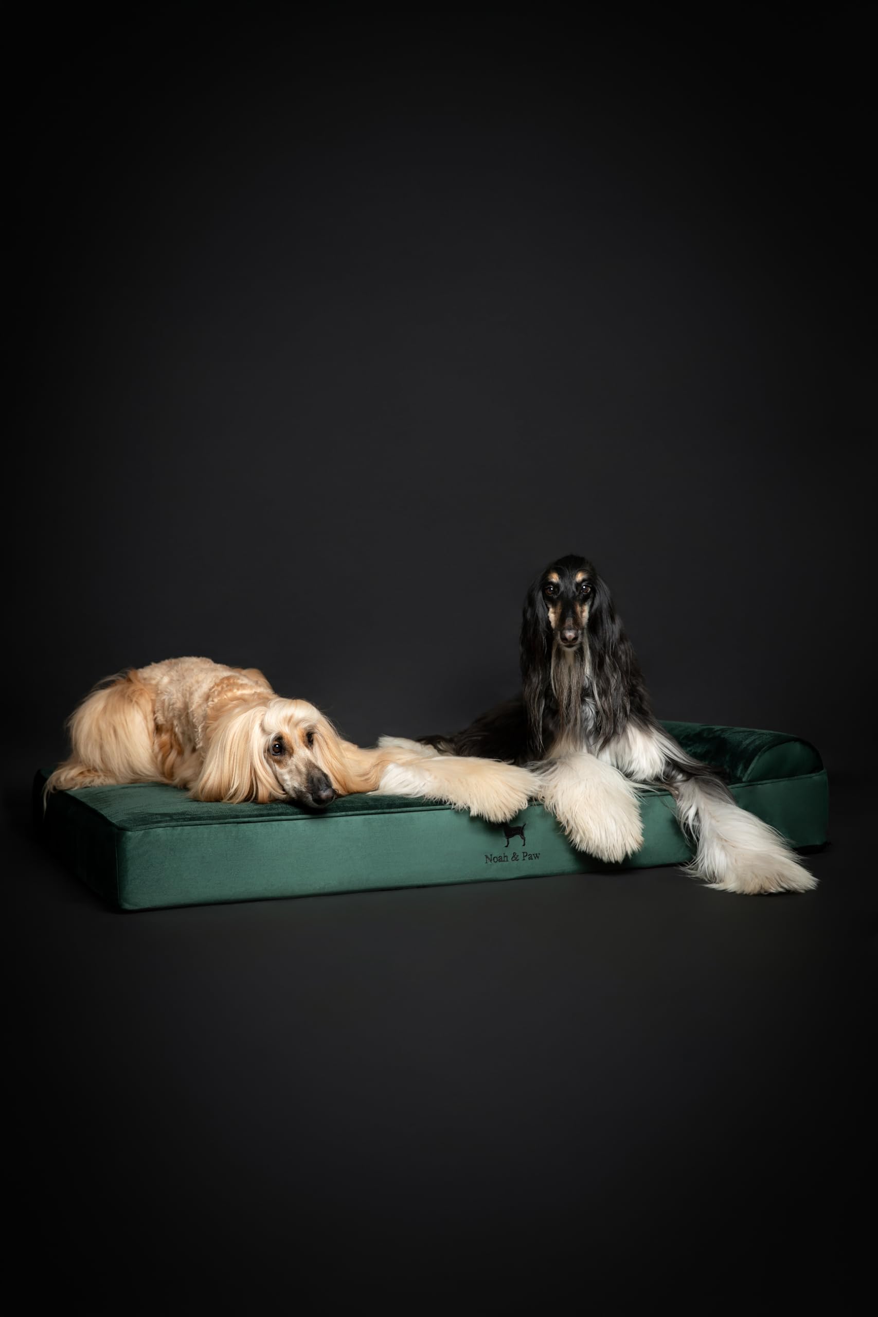 Noah & Paw Giant Pies Legowisko XXL 55x45x11 cale, Orthopedic Pies Beds, Eggshell Memory Pianka Infused z Żel chłodzący, Wodoodporny, Machine Można prać (Velvet Kolekcja)