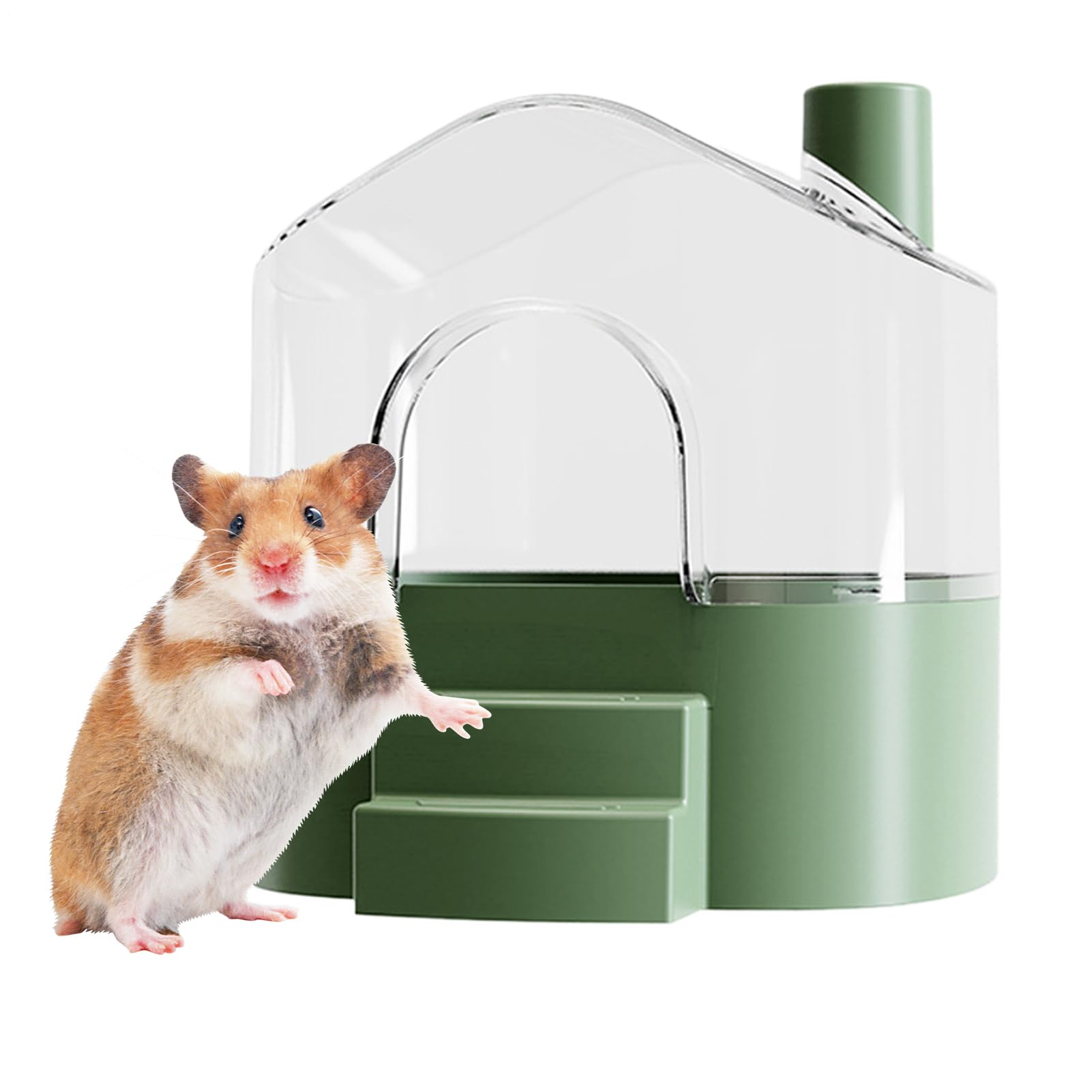 Bain de sable pour hamsters avec grand bac transparent et accessoires de nidification ludiques