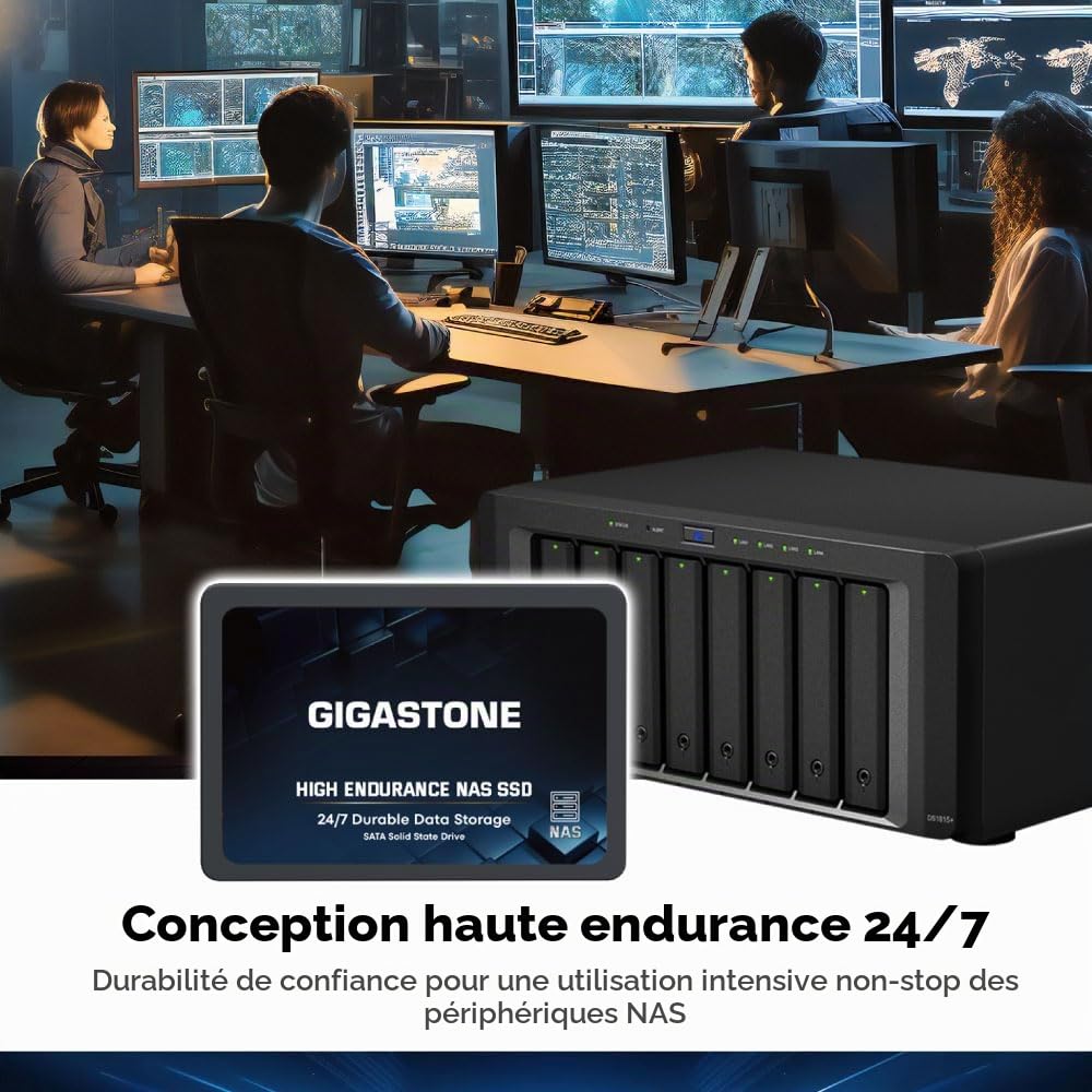 Gigastone Certifié NAS 4To NAS SSD Disque 24 h/24, 7 j/7 Durable Endurance élevée Raid Synchro sécurisée des données Cache de Stockage en réseau 2,5 Pouces SATA Disque Dur ssd Interne