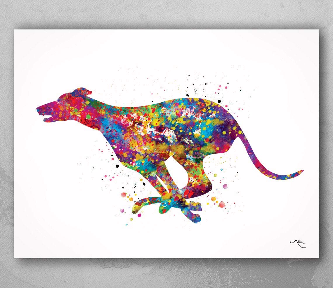 Greyhound Watercolor Print, Greyhound Painting, Greyhound Running, Greyhound Print, Greyhound Gift, Greyhound Poster, Dog Art, Dog Print-905