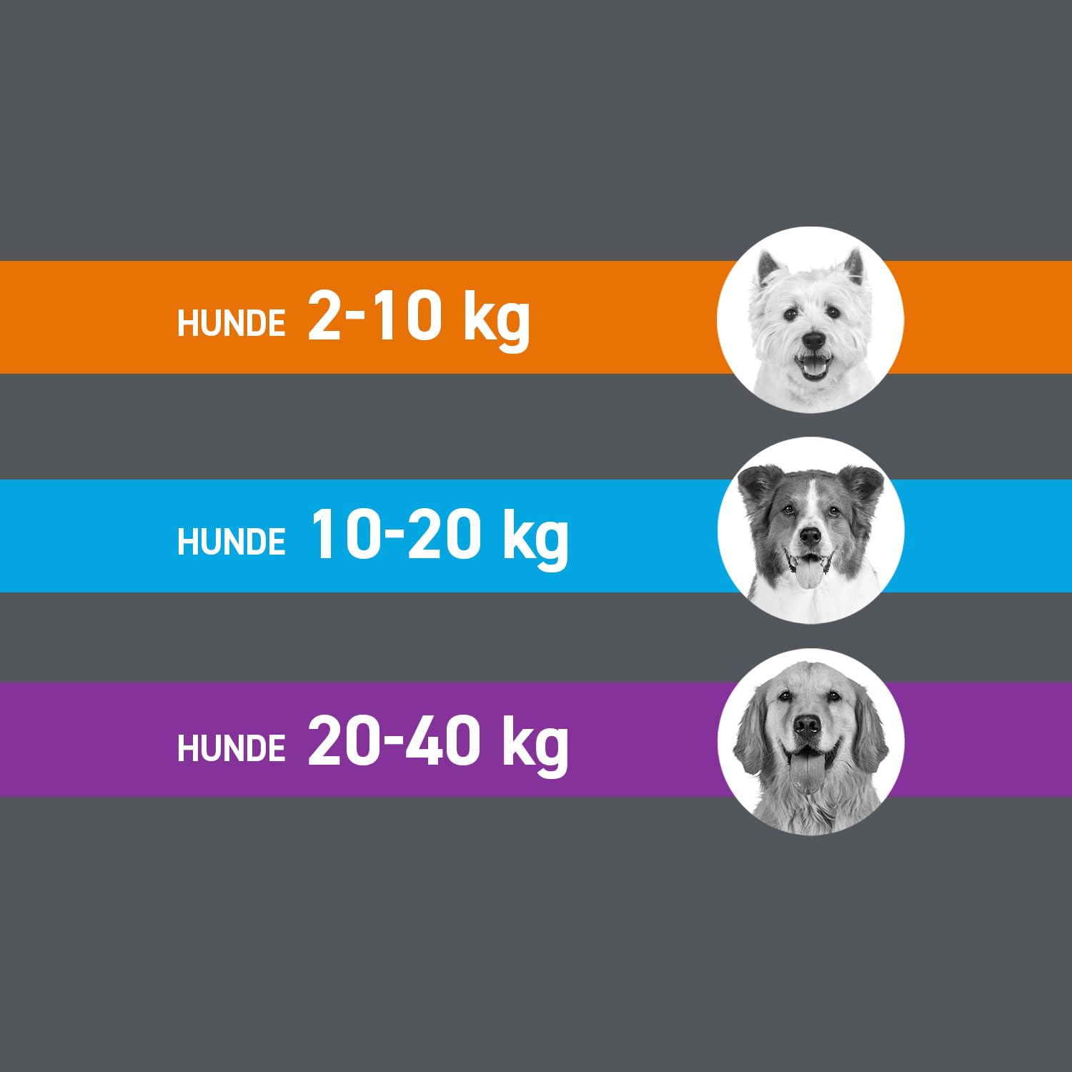 FRONTLINE Spot ON Hund L gegen Zecken, Flöhe & Haarlinge (20 bis 40 kg) | 6+3 Pipetten (2er Pack) für bis zu 9 Monate Schutz - einfache Anwendung, gute Verträglichkeit - wasserfest - für große Hunde
