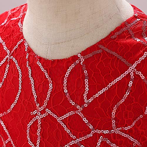Image of Baby Toddler Lace Dress Girls First Baptism Elegant Embroidery Party Flower Bridesmaid Dresses Up