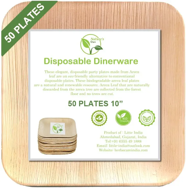 Nature&#39;s Own Palm Leaf Plates Disposable Bamboo Plates Like Party Pack (50 Pc) Compostable and Biodegradable - Better than Plastic and Paper Plates (10 Inch Square)