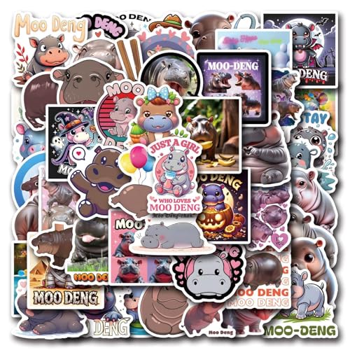 Water Bottle Stickers | Removable Bottle Decals | Laptop Sticker Set | Flat Decals | Colorful Sticker Pack | Decorative Water Bottle for Smooth Flat Surfaces