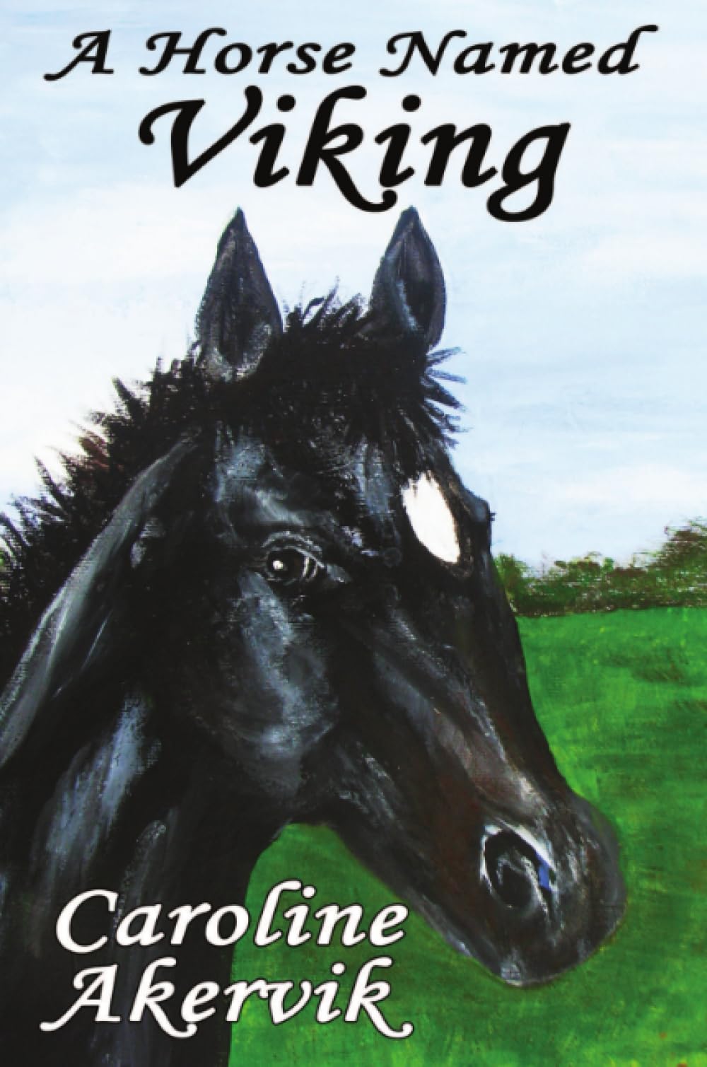 A Horse Named Viking By Akervik, Caroline Caroline Akervik,