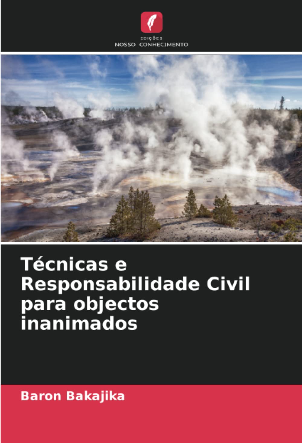 Técnicas e Responsabilidade Civil para objectos inanimados (Portuguese Edition)
