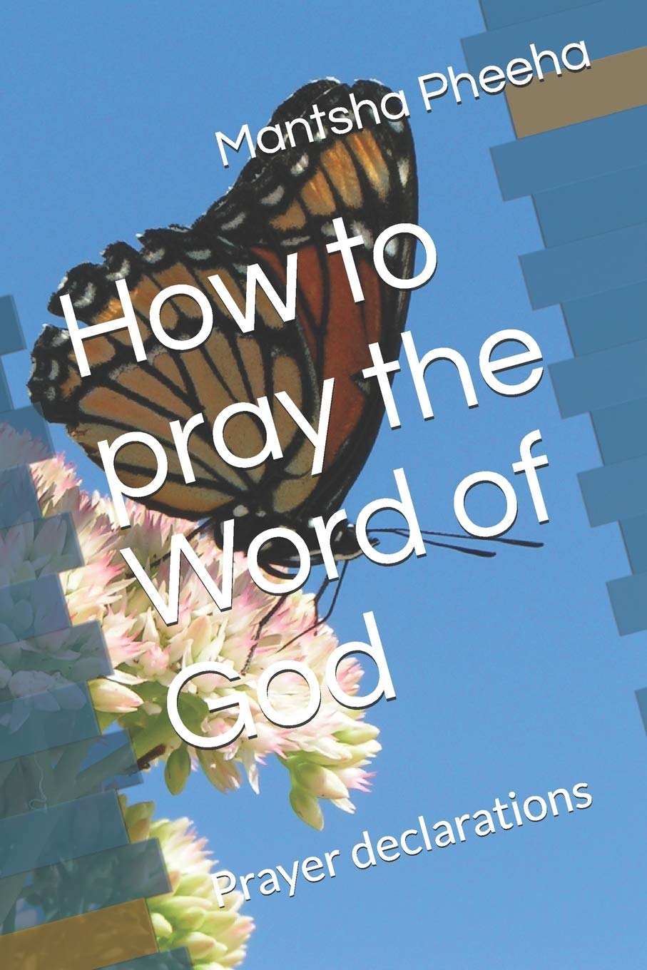 How to pray the Word of God: Prayer declarations
