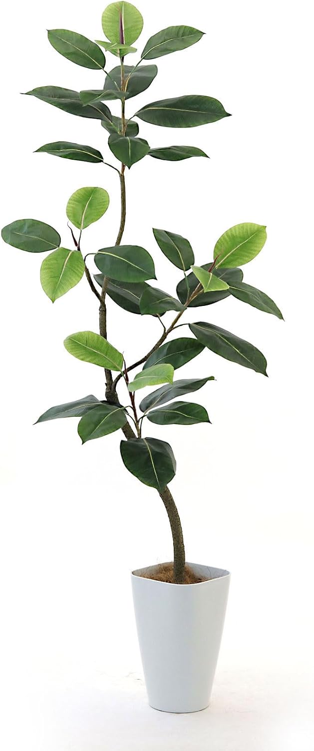 楽天市場】光の楽園の通販 光の楽園 フェイクグリーン 造花 フレッシュ