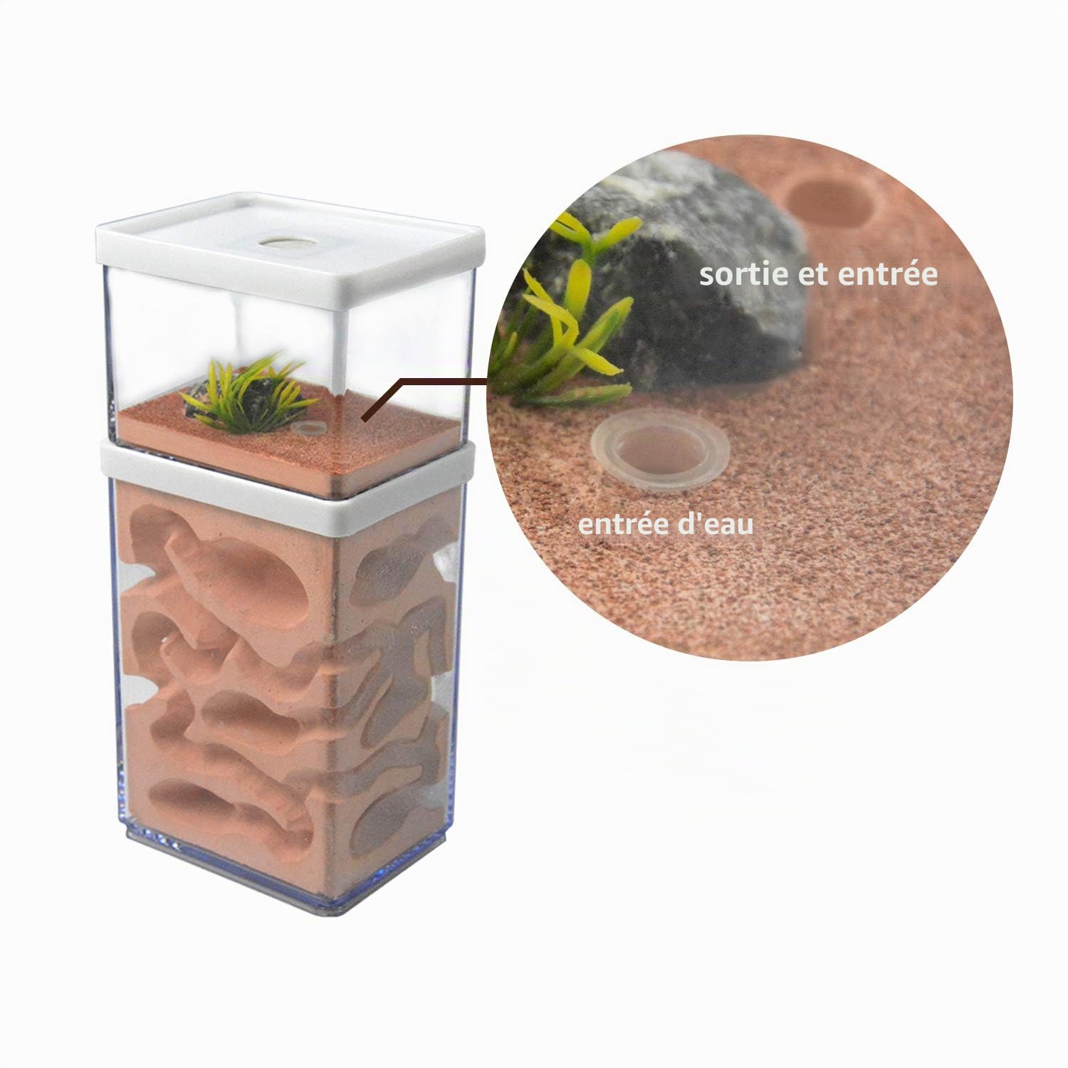 aleawol Ferme naturelle Formicarium Nid de fourmis en plâtre transparent Maison de fourmis Élevage de fourmis Terrarium Maison Ant Farm Ant Nest Habitat