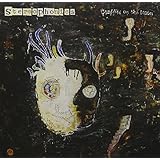 GRAFFITI ON THE TRAIN