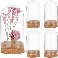 PHPandaHall 4pcs Glass Cloche Bell Jars with Cork Base - 1.85x3.35in Display Domes for Flowers, Crafts, Home Decor & Party Favors