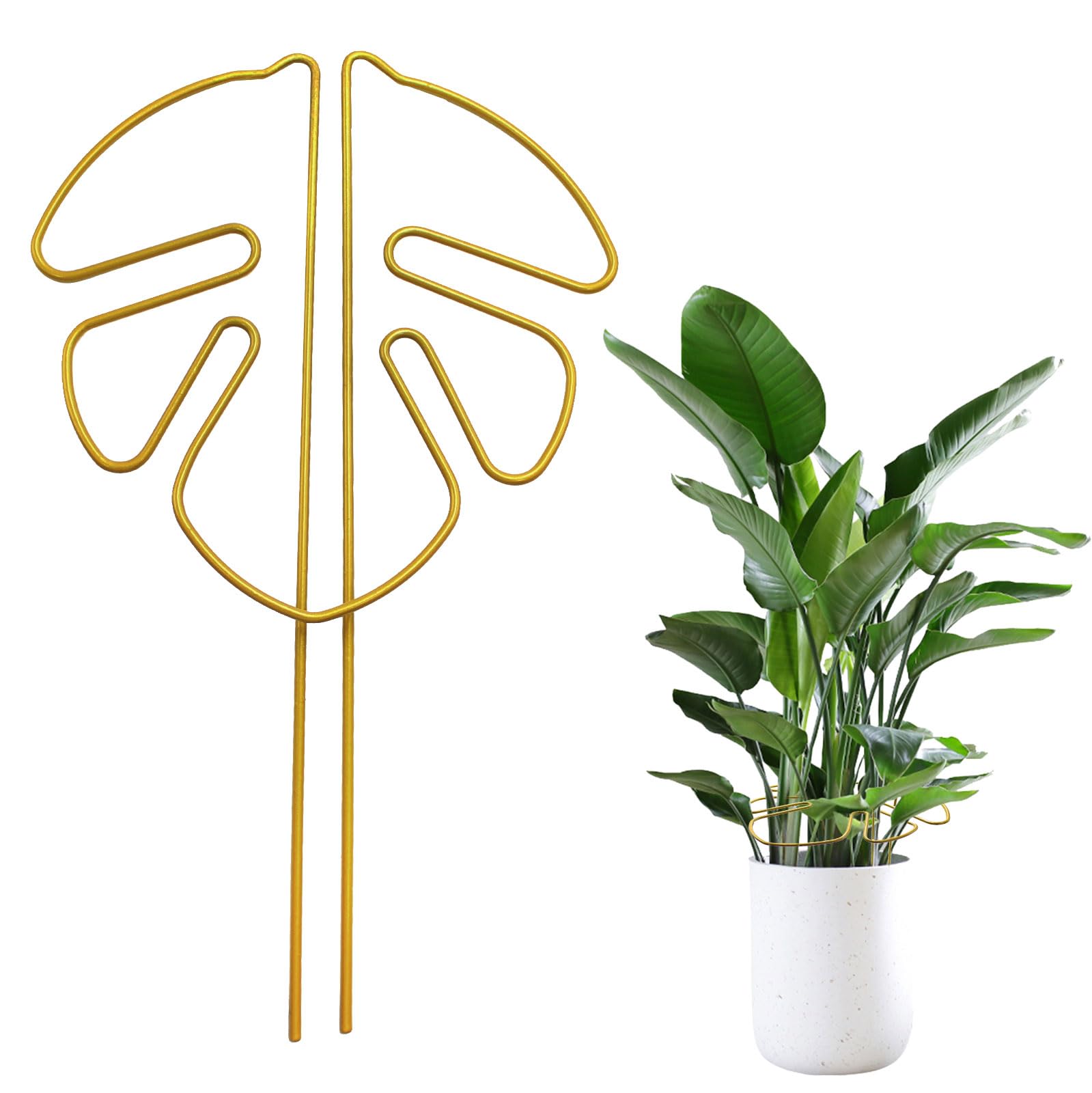 NVGFTG 2 Stck Pflanzensttze Monstera Rankhilfe Zimmerpflanzen Gold  Pflanzensttze Plant Ssupport Rankhilfe Pflanzen Sttze Monstera Stab Metall  fr Auen und Zimmerpflanzen : Amazon.de: Garten