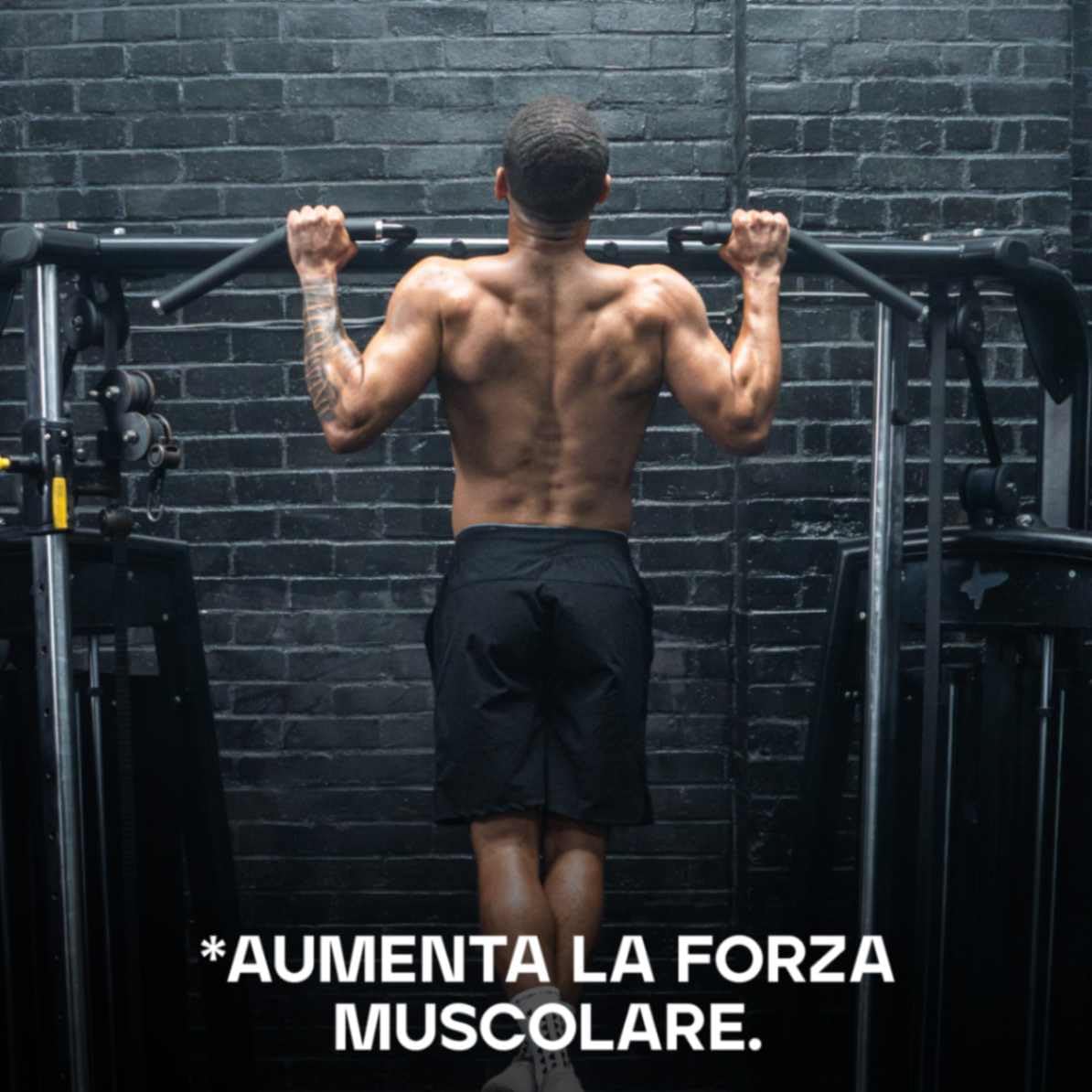 Bulk Creatina Monoidrato Polvere 500 g | 147 porzioni | Creatina micronizzata pura | Vaniglia | Vegano e Halal | Ideale per fitness, allenamento e palestra | Si scioglie facilmente