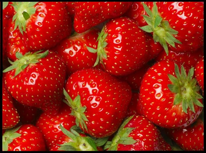 1,000 Strawberry Seeds for Planting - Perpetual Strawberry Four Seasons Strawberry Seeds for Planting