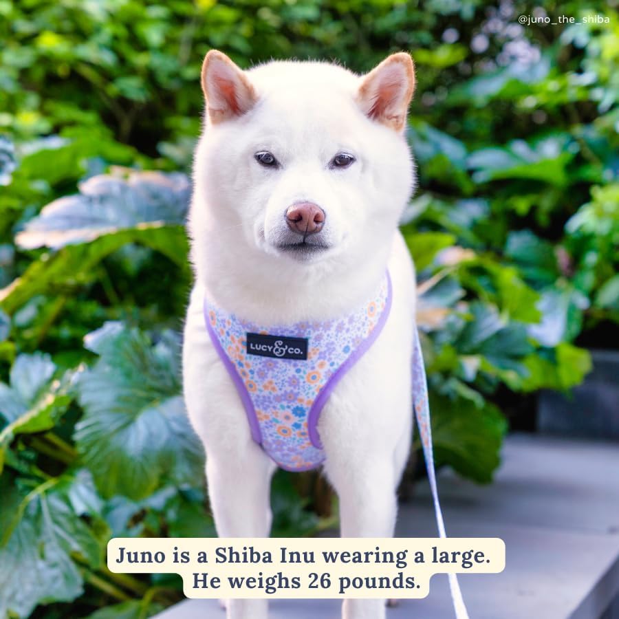 Miniatura 5 de Lucy & Co. Arnés reversible para pasear perros, bonito, de diseño, talla XS a XL, chaleco acolchado ajustable para pasear con facilidad (talla M,