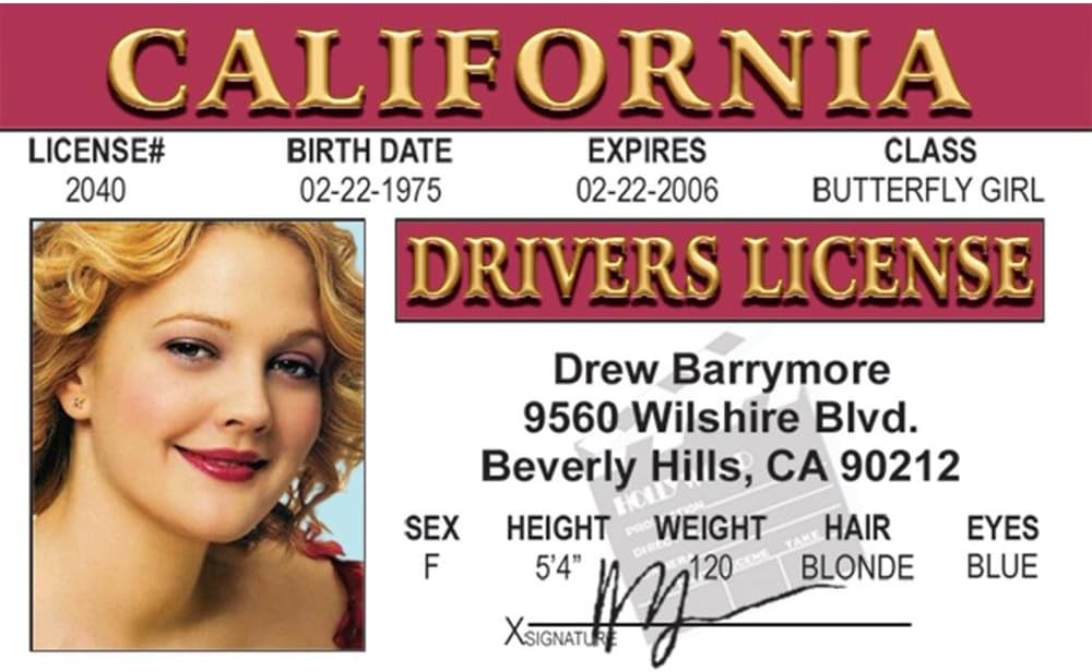 What Does Revoked Mean On Your Driving Licence Order Online