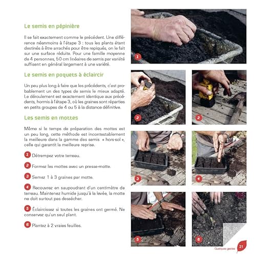 Des salades toute l'année dans mon jardin