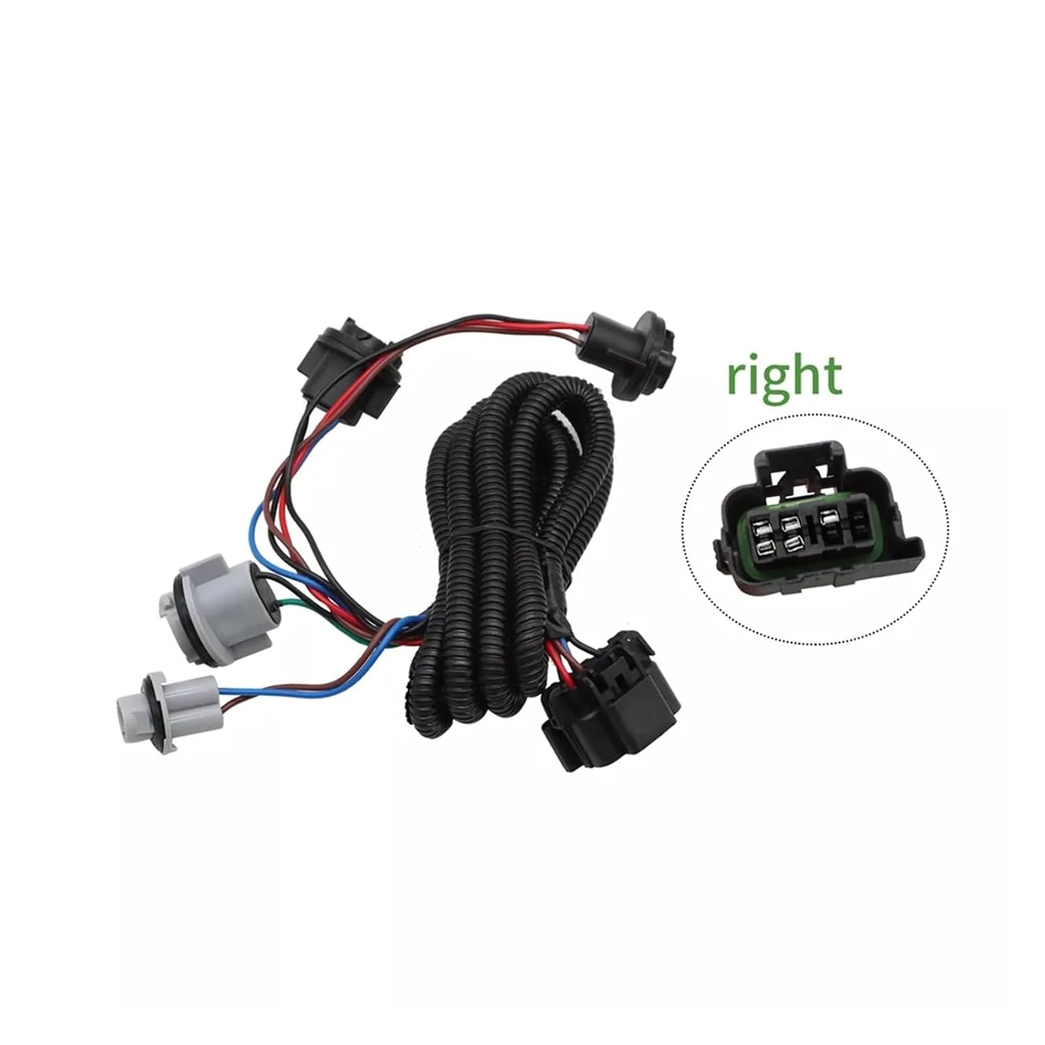 アルメリック ペレグリン 6.2 アルメリック ペレグリン 6.2 The