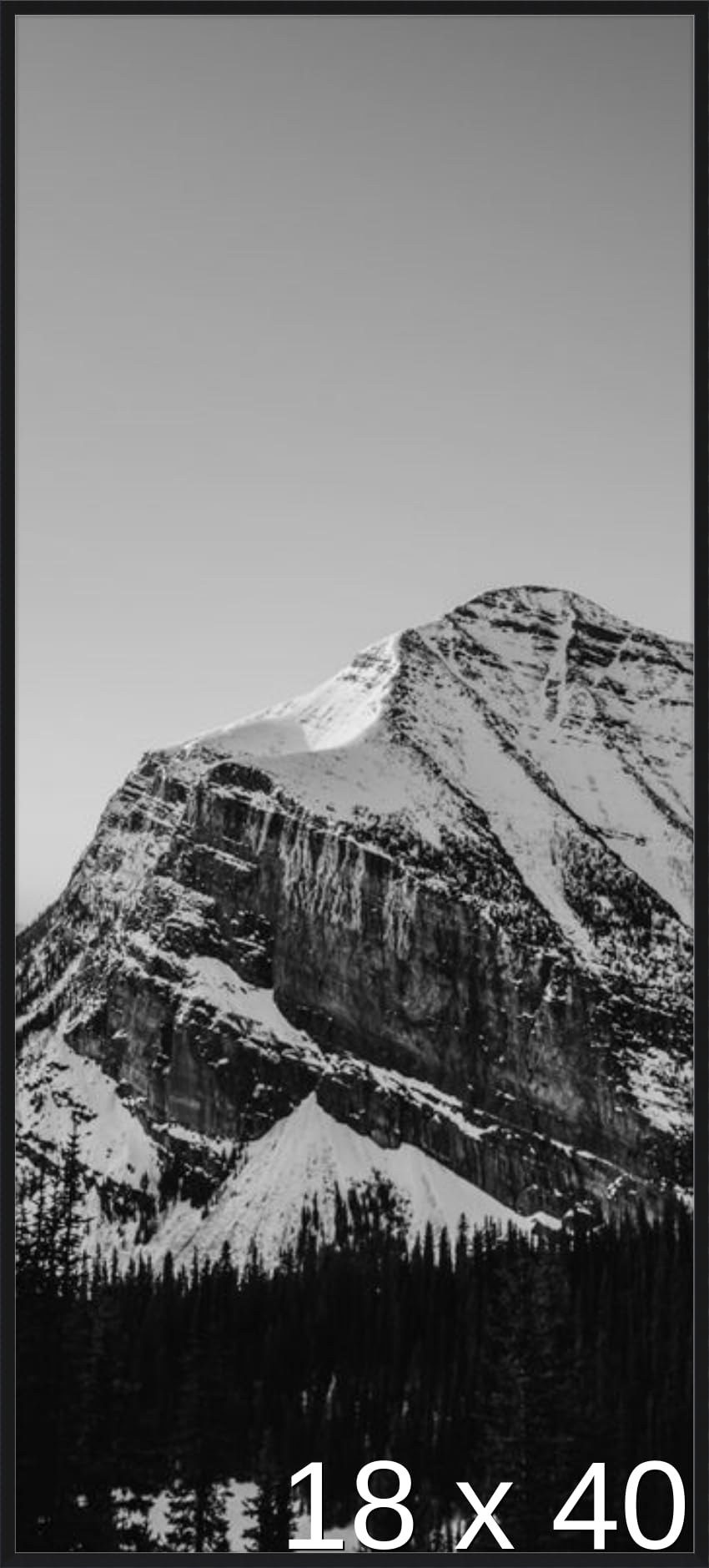 Frame It Easy 18 1/2 x 40 Satin Black Metal Frame (Ashford) 18.5x40 inches