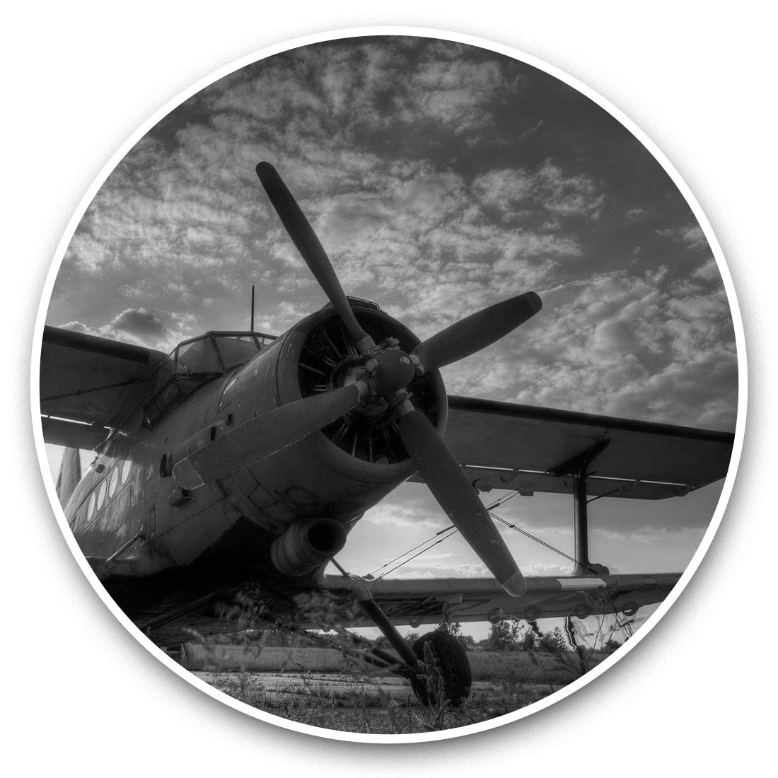 Destination Vinyl Ltd Bw Sunset Tiger Moth Plane Pilot 41523 2 X 20Cm Vinyl Stickers - Sunset Tiger Moth Plane Pilot Decals 41523