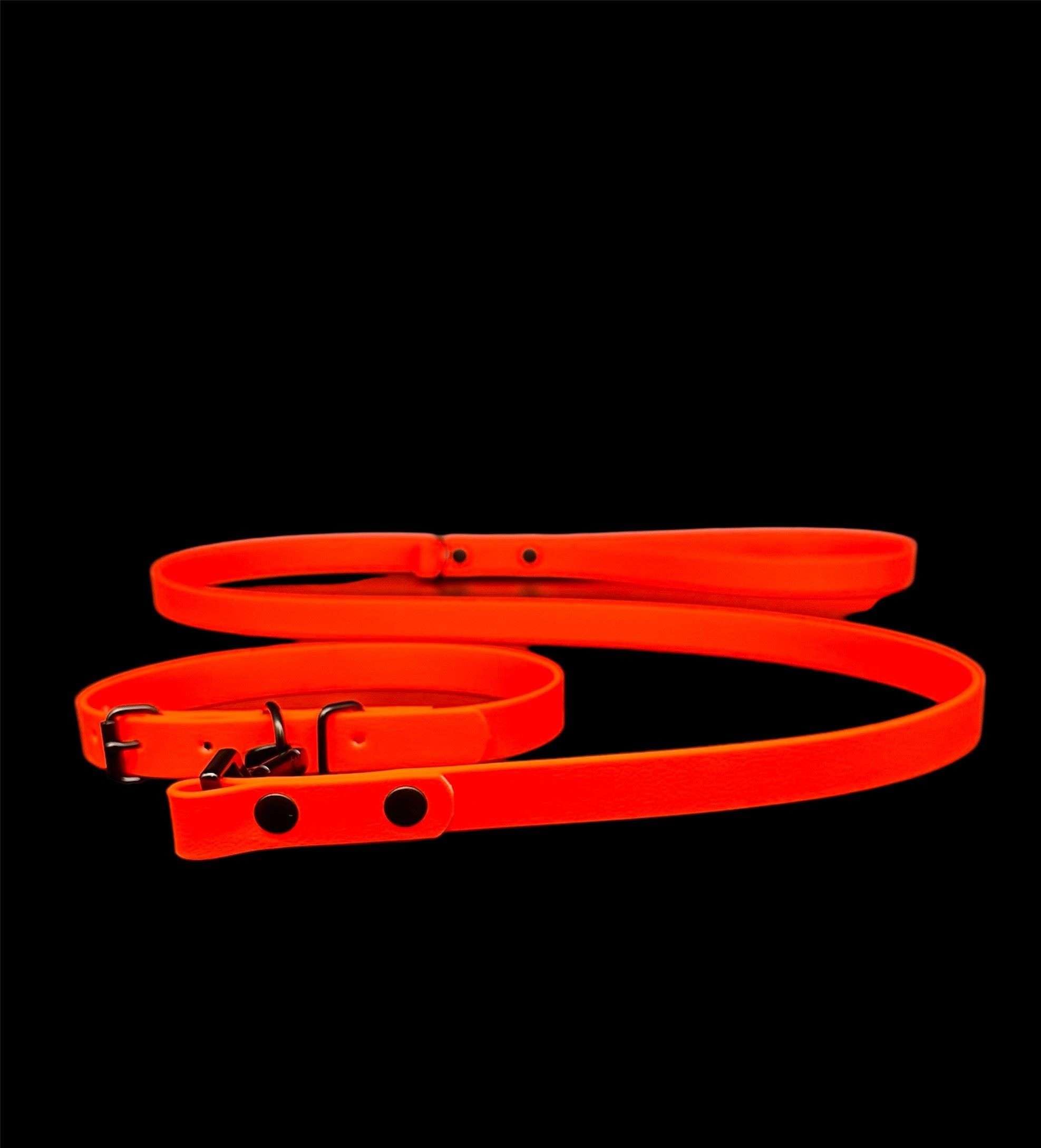 Waterproof Biothane Dog Lead & Collar Set | Metal Buckle | Black Rivets | Ultra Durable…