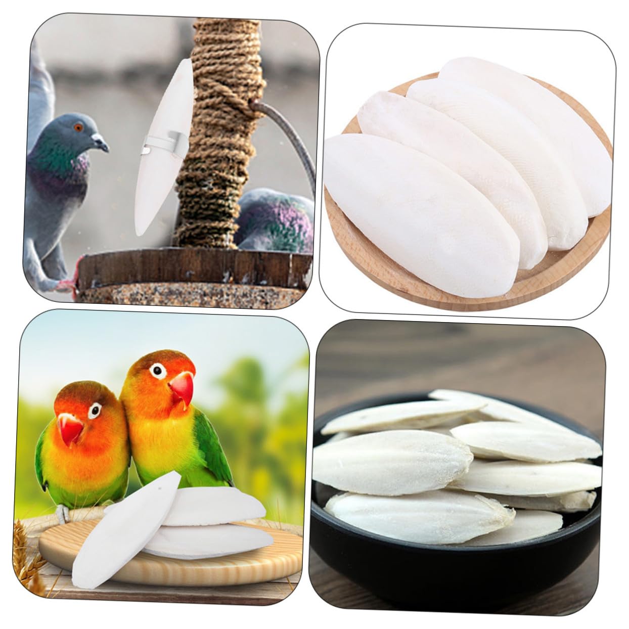BESPORTBLE 36ensembles Jouets à Mâcher De Seiche pour Oiseaux Et Rongeurs Accessoires De Dentition pour Perroquets Hamsters Cochons Et Animaux De Compagnie