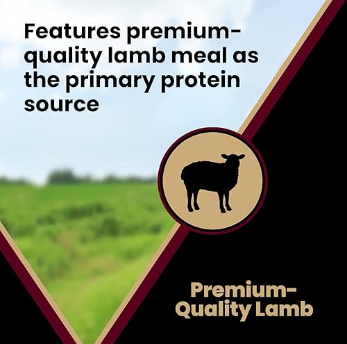 Miniatura 6 de VICTOR Super Premium - Alimento para perros  Fórmula de harina de cordero y arroz integral  Alimento seco para perros sin gluten para todos los