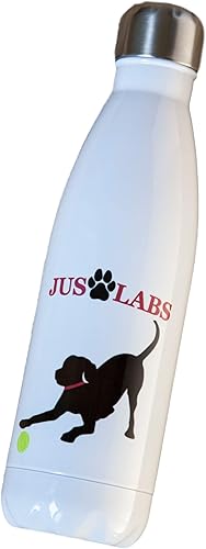 Miniatura 1 de JUS LABS Botella de agua de acero inoxidable y aislada al vacío, termo a prueba de derrames con tapa de rosca, retención de temperatura fríocalor,
