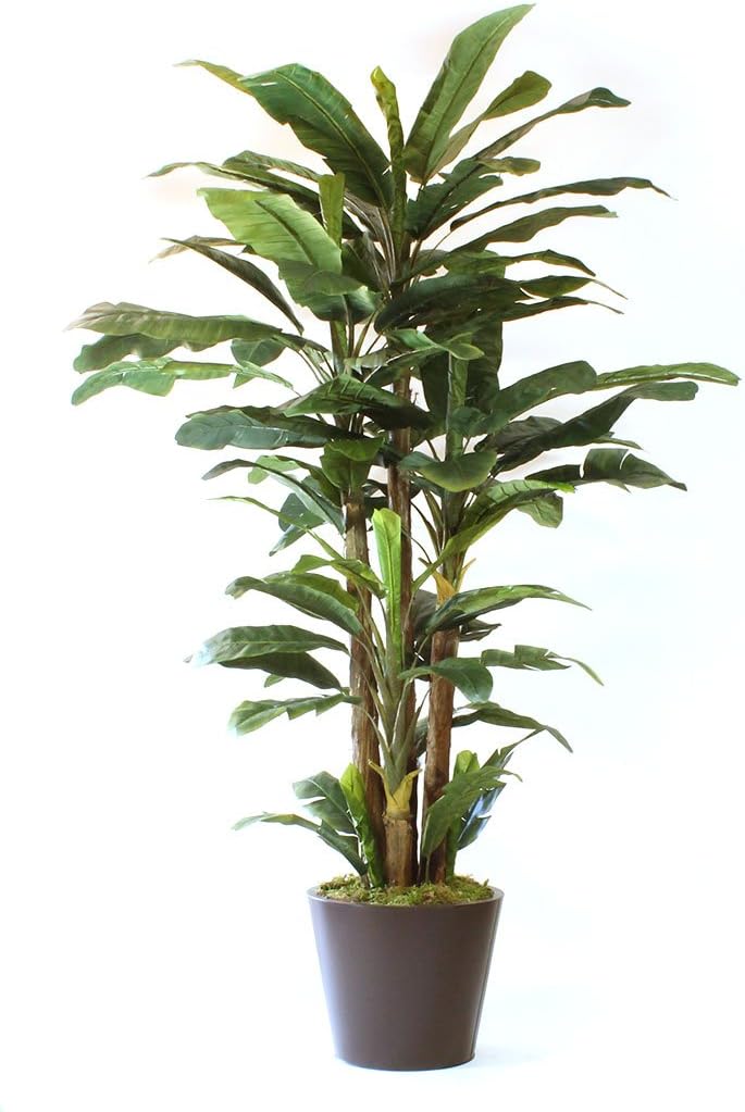 dmr108 Lush Banana Tree in Metal Planter