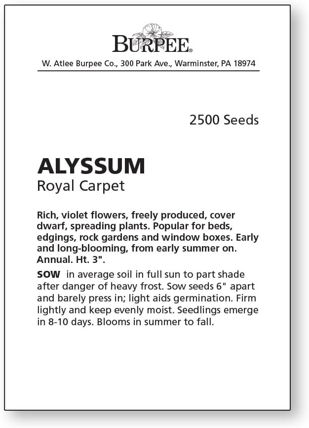 Burpee Royal Carpet Alyssum Seeds 2500 seeds