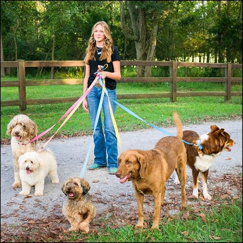 Country Brook Petz 25+ Hundehalsband aus Nylon, mit Schnellverschluss-Schnalle, starke Beschläge, hergestellt in den USA (Medium, 1,9 cm breit, goldfarben)-3