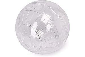 Savic Runner: A Human-Sized Erlebnis for Small Adventurers