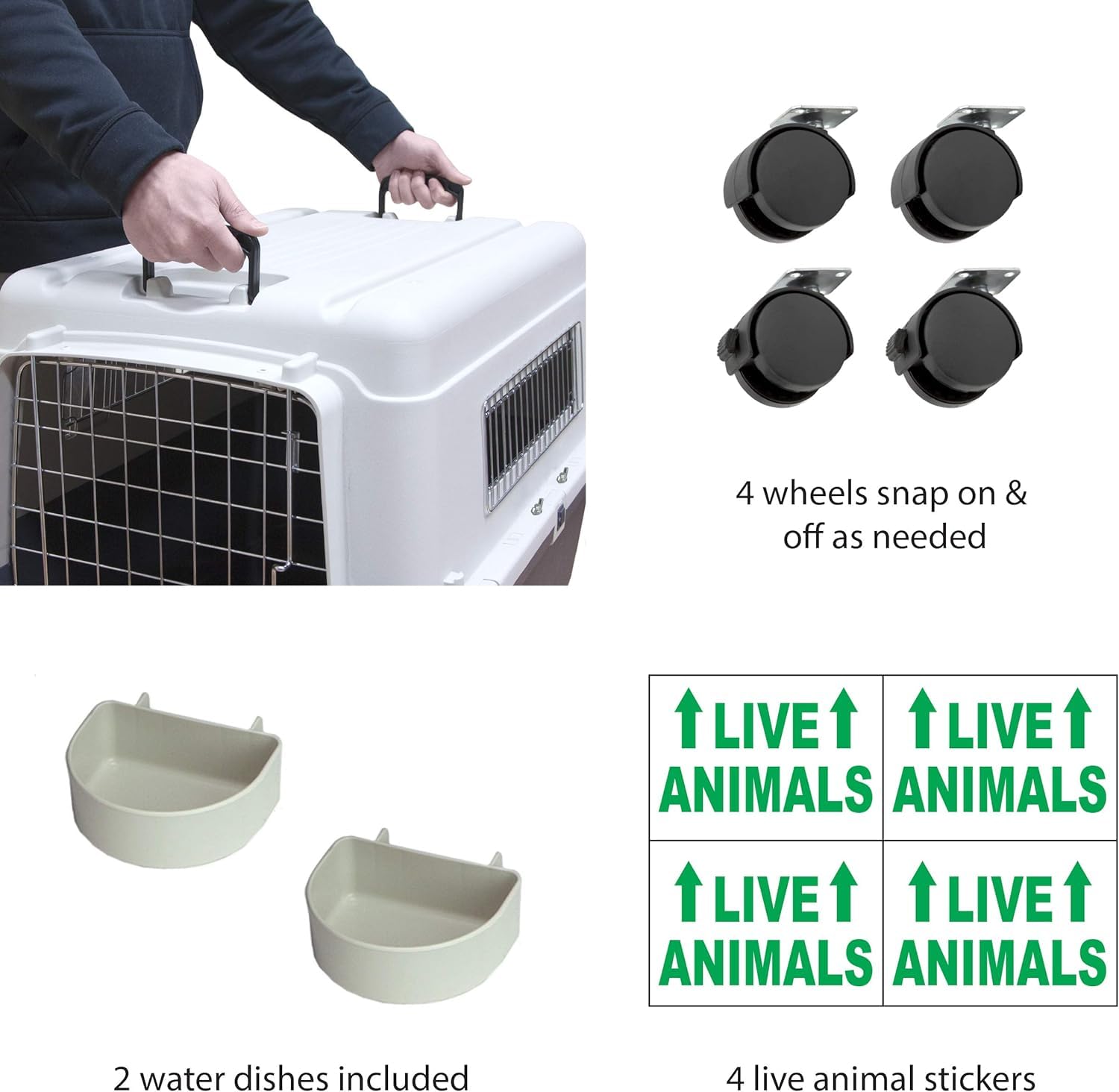 https://m.media-amazon.com/images/I/61GyF9fWskL.jpg