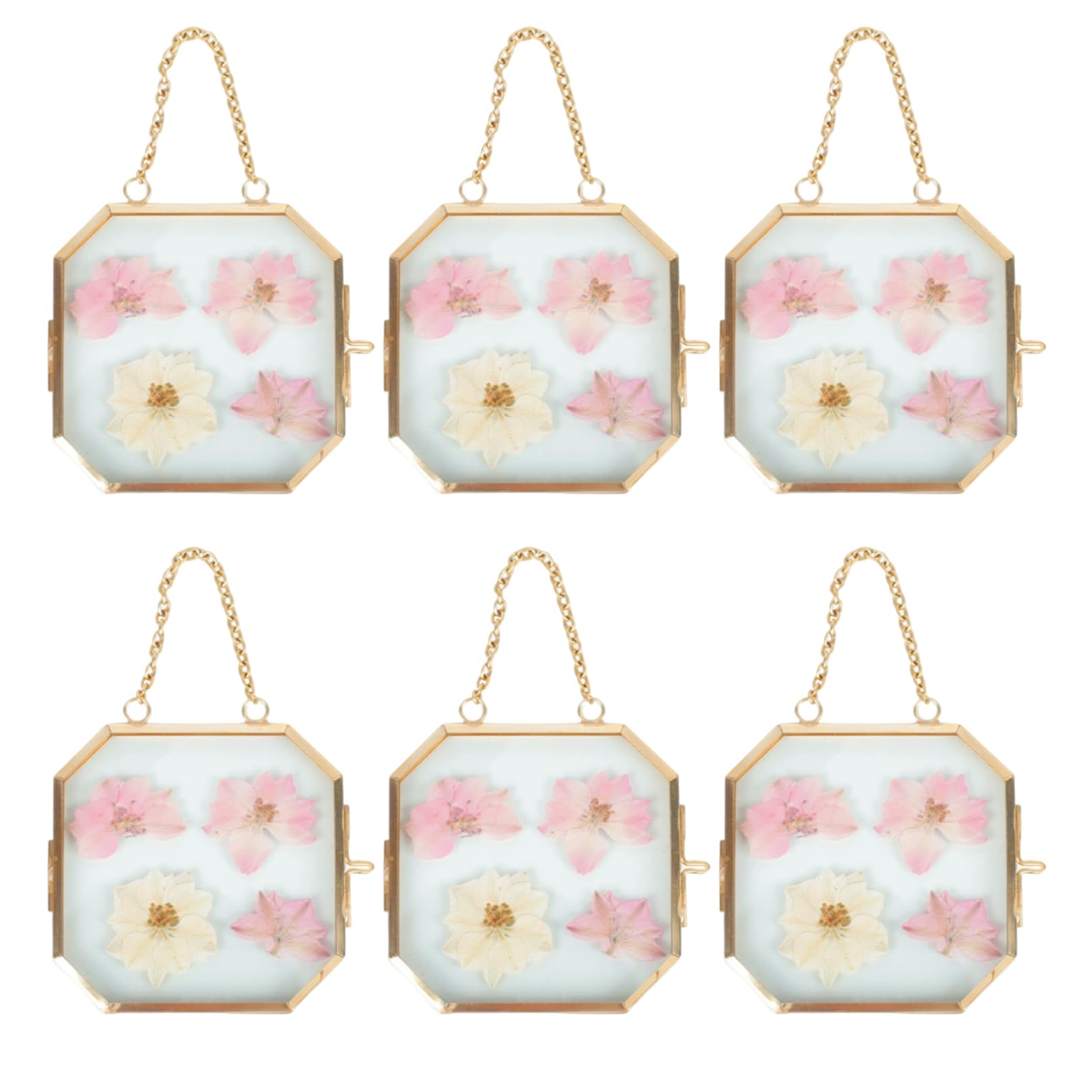 Cadre de fleurs pressées en laiton mini cadre photo verre suspendu octogone 6pcs