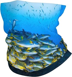 Undersea Shoal Printed Multi-Functional Sports Headband Casual Stretch Seamless Sweatband mask Headband Neck Headdress Magic Scarf Headband dust Protection Sun Wind