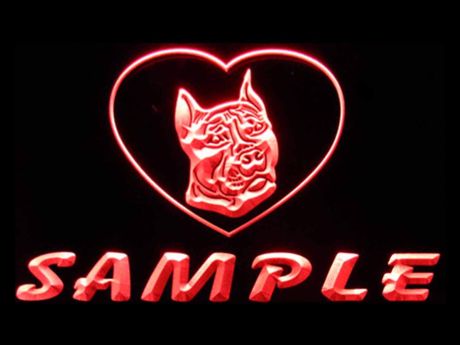 ADVPRO vd-tm Name Personalized Custom Pit Bull Dog House Home Neon Sign