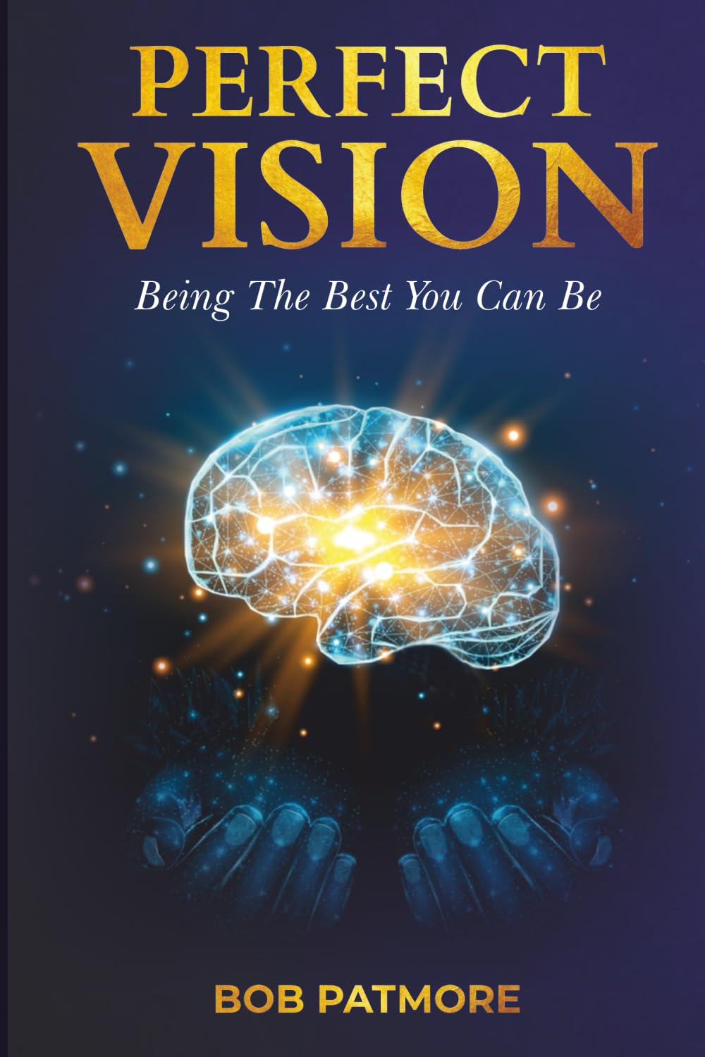 Perfect Vision: Being The Best You Can Be (Perfect Vision Method)