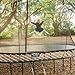 Springfree Oval Outdoor Backyard Trampoline w/ Safety Flexi Net Enclosure & Soft Edge Mat - Springless Recreational and Fitness Trampolines for Kids, Adult and Family Jumping