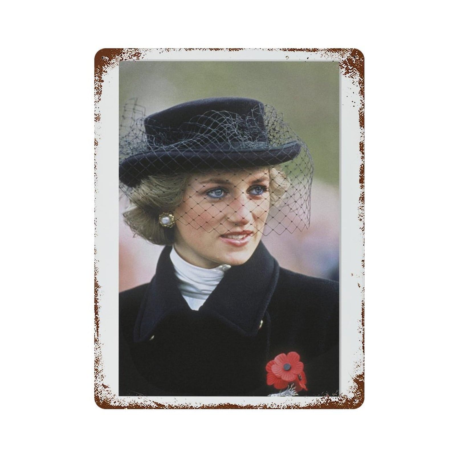 xiaoxiaoshen Lady Diana, Photography S1 Wall Decor Art Metal Tin Poster Modern Home Decor Art Home Bar Shop Decorations Vintage Sign 40x30cm