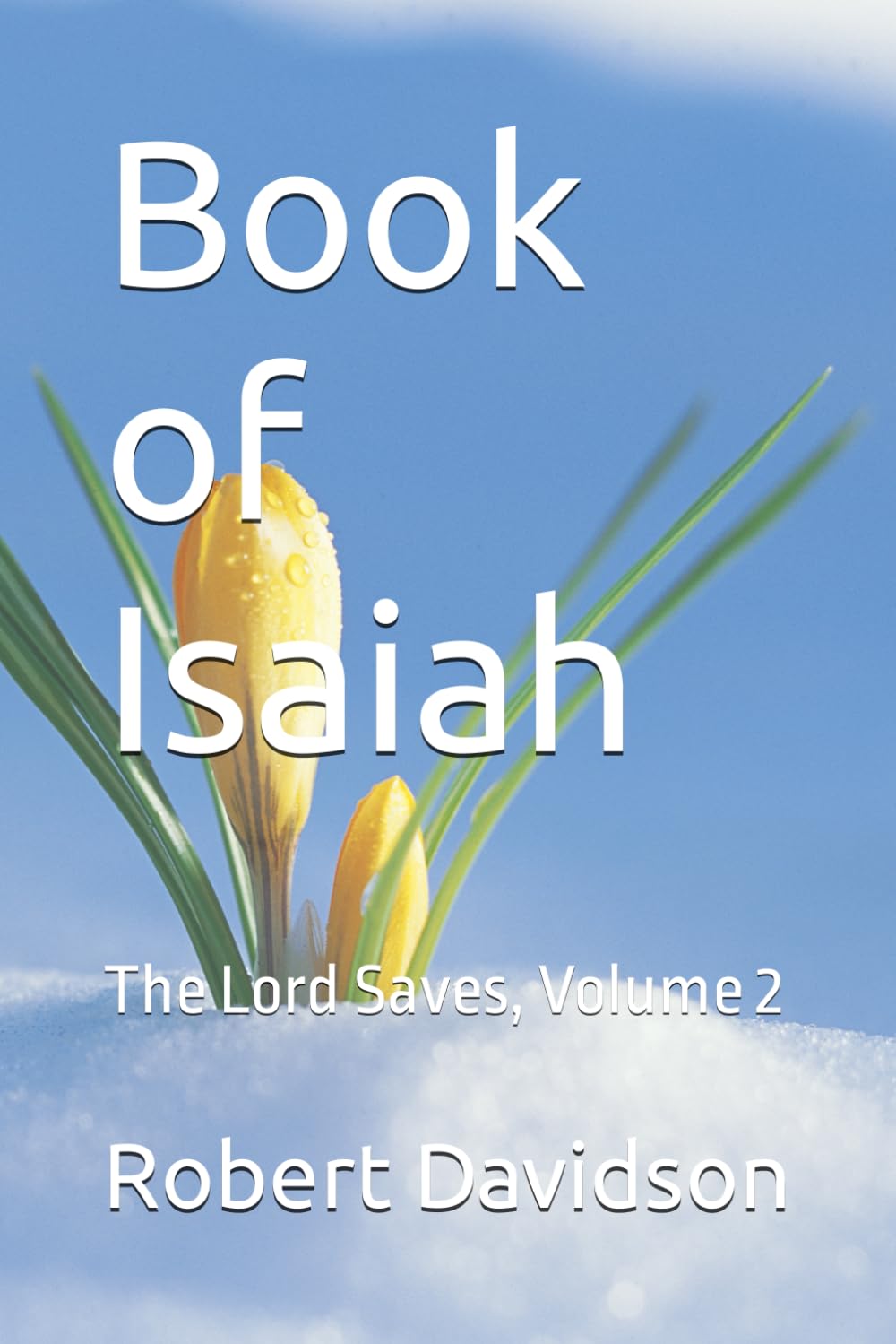 Book of Isaiah: The Lord Saves, Volume 2