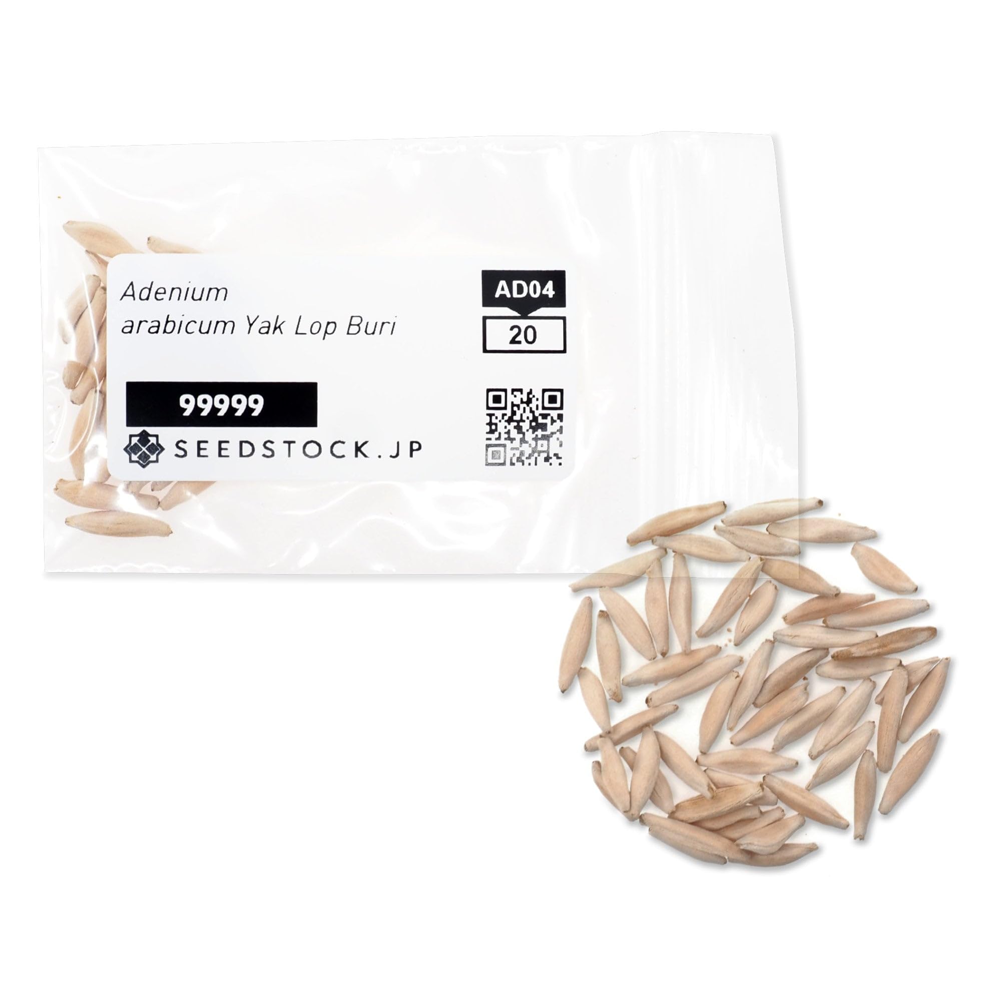 Amazon.co.jp: SEEDSTOCK アデニウム アラビカム YLB Adenium arabicum