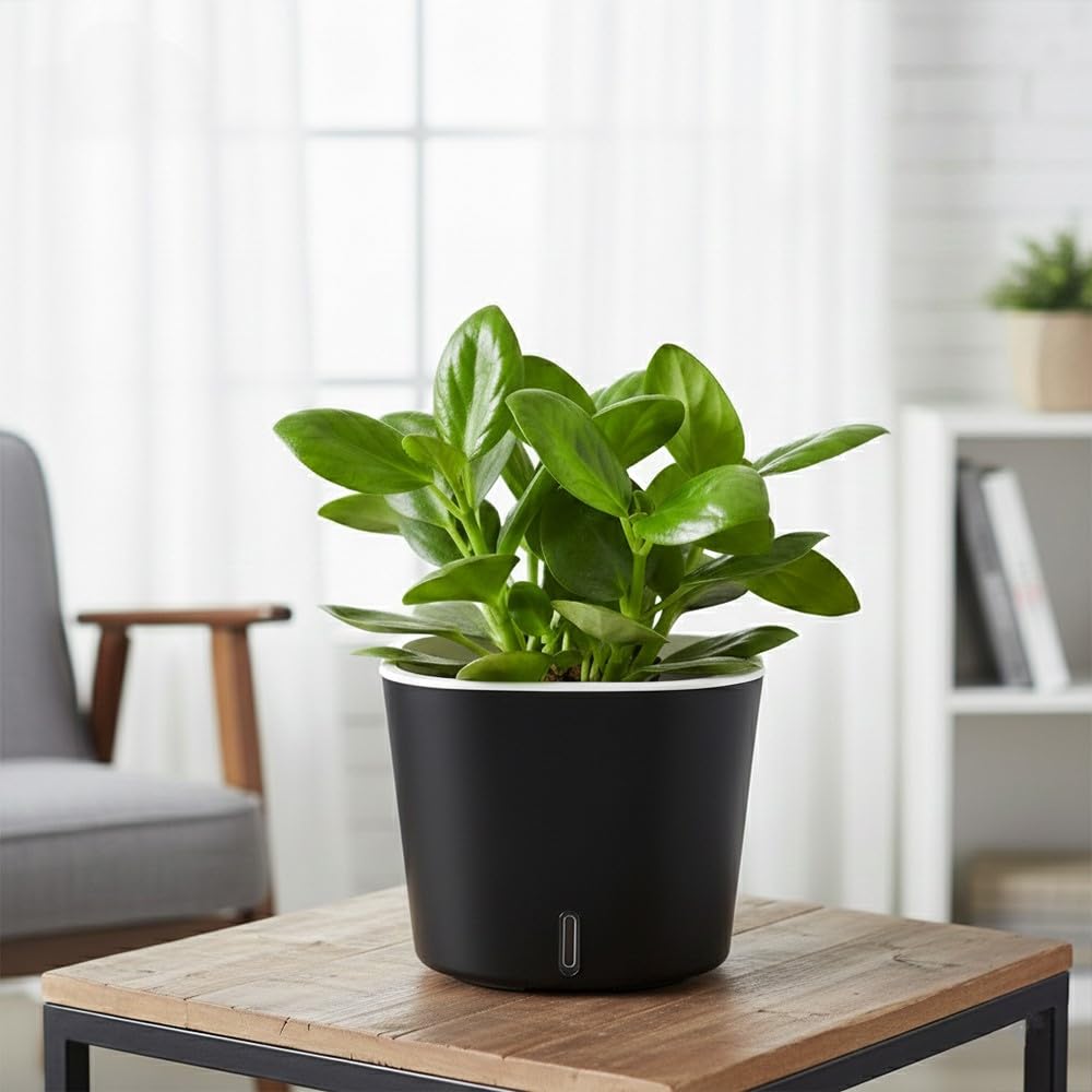 GARDENCIA Self Watering Pots - Modern Plant Cachepots -8 GARDENCIA Self Watering Pots - Modern Plant Cachepots -8