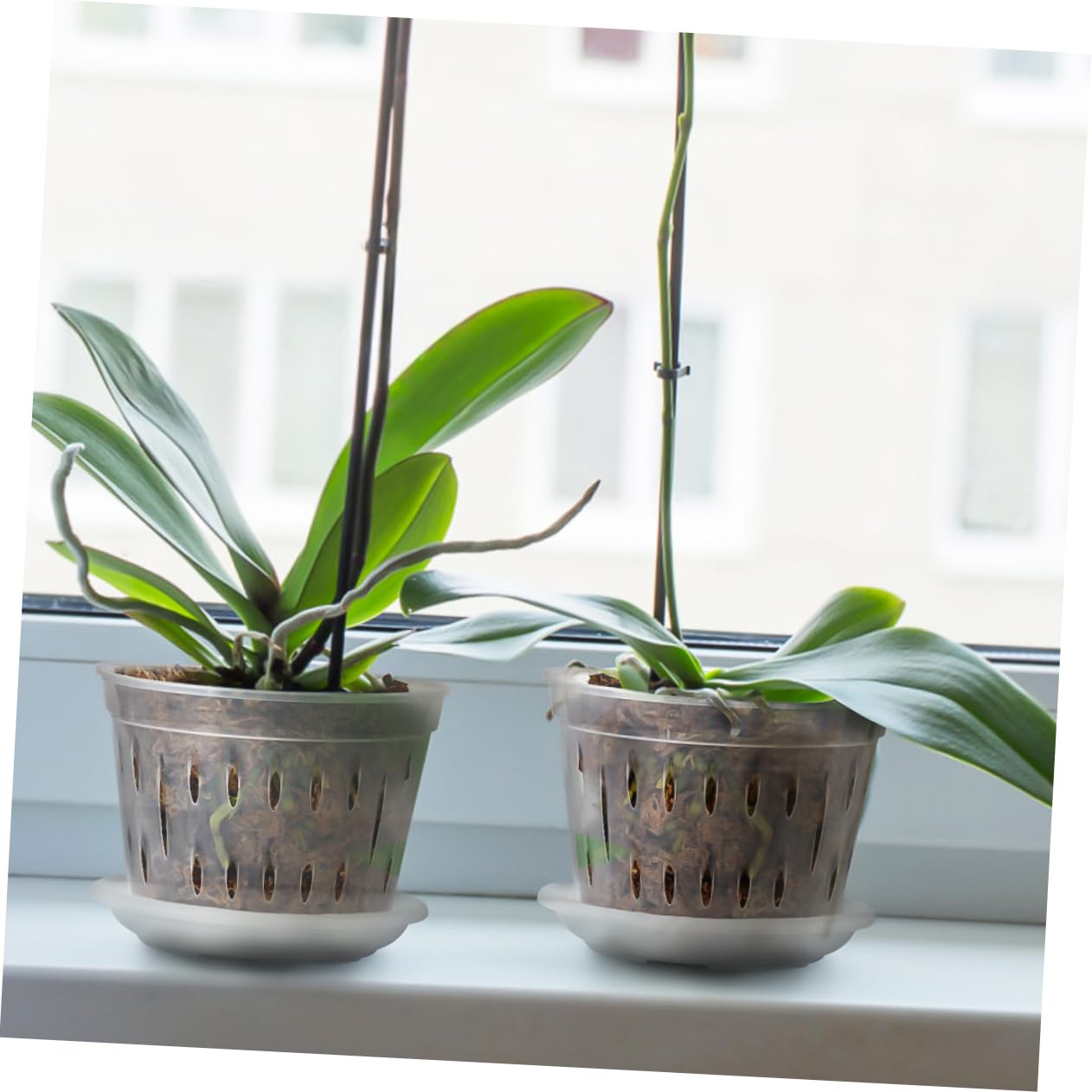 POPETPOP 15 Zestawów Doniczek Phalaenopsis Dekoracyjne Doniczki Na Storczyki Doniczki Ogrodowe Na Storczyki Małe Oddychające