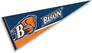 Bucknell Pennant Full Size Felt